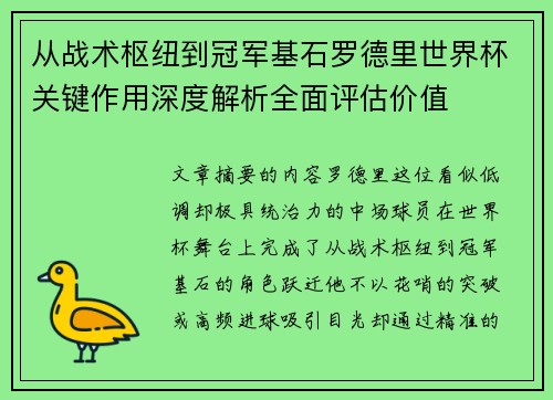 从战术枢纽到冠军基石罗德里世界杯关键作用深度解析全面评估价值